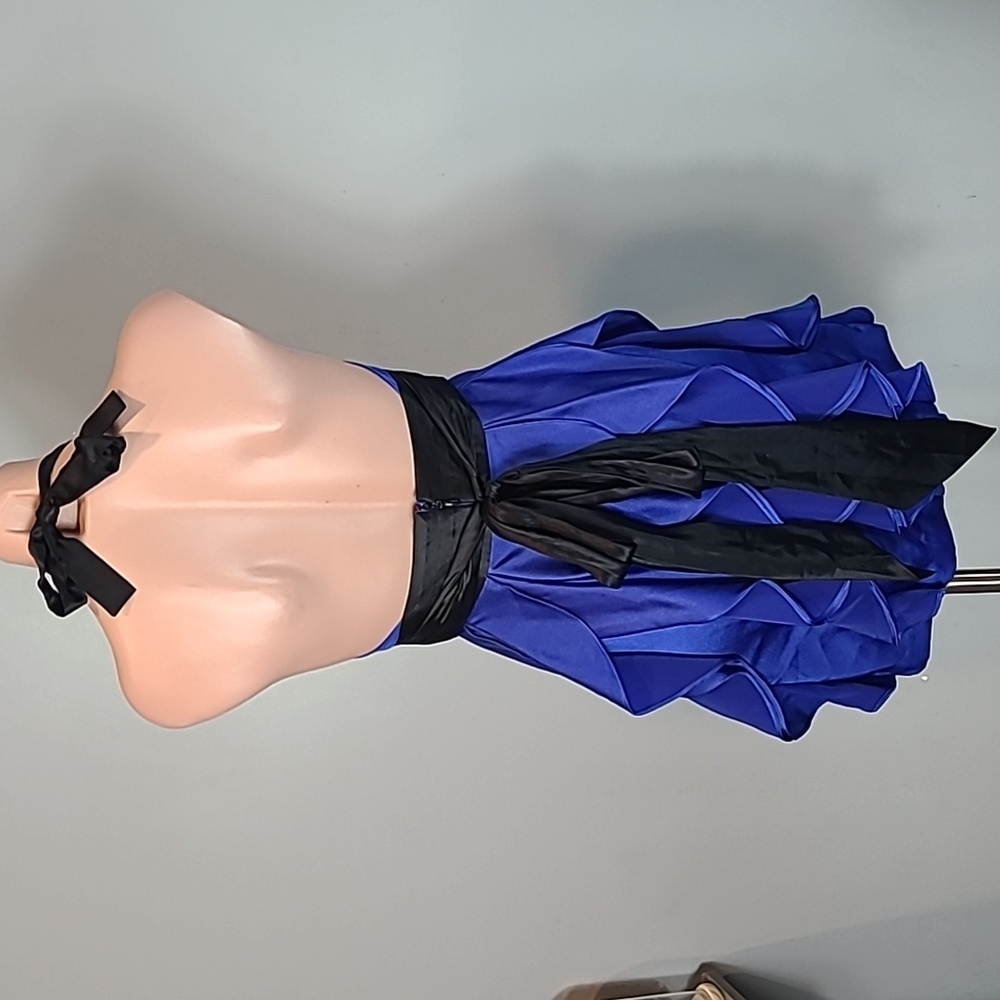 BCBGMaxazria Halter Ruffle Layla Mini Dress Graduation Wedding Silk Regency 0 - Picture 6 of 9